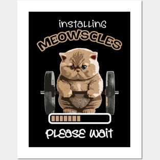 Installing-Meowscles Posters and Art